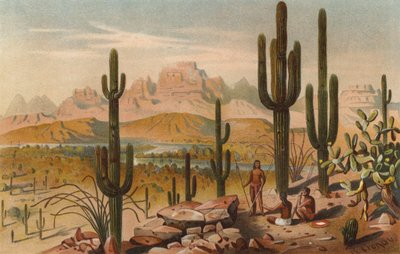 米国ユタ州の山の中のサボテン 作： Rudolf Cronau